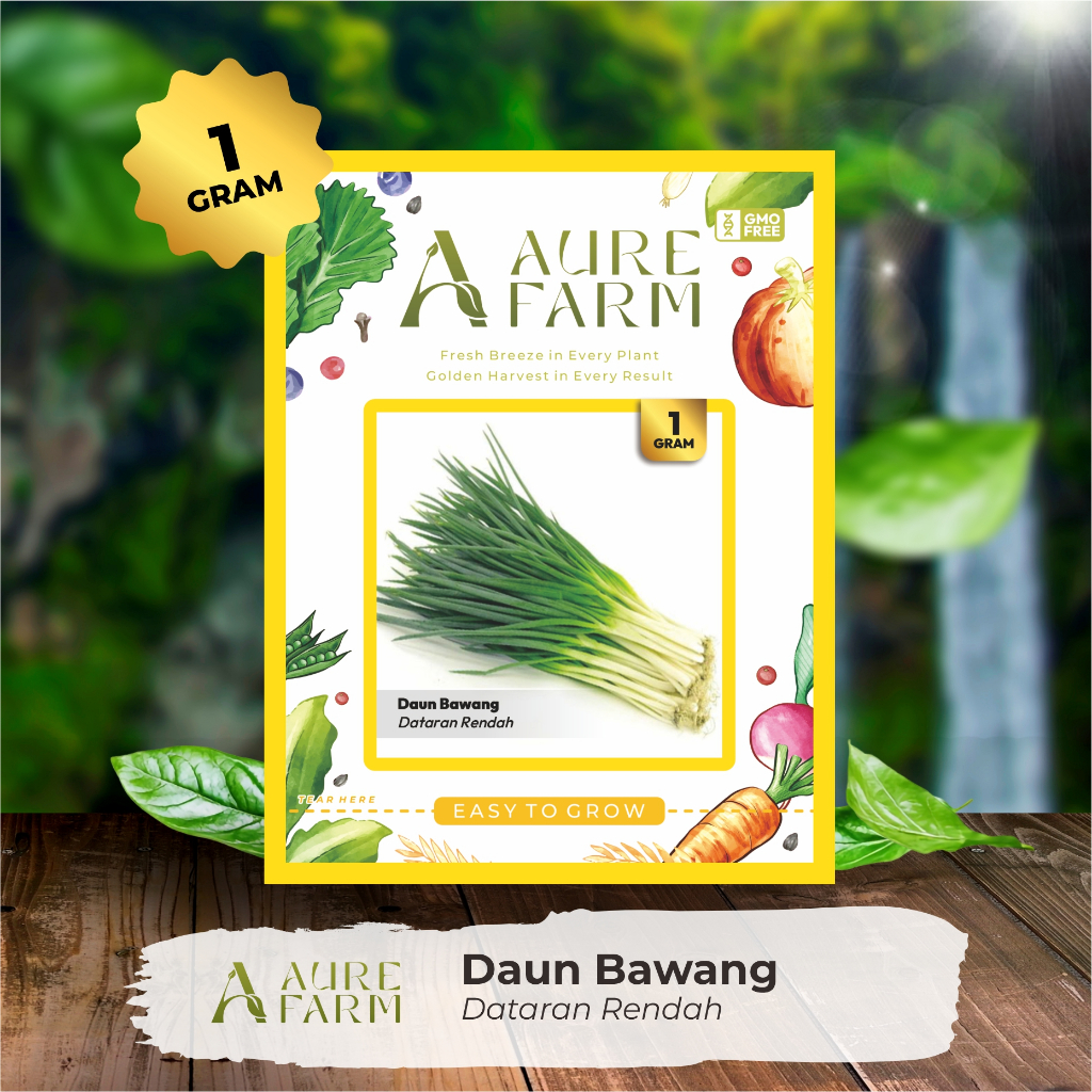 Aure Farm - Benih Bibit Sayur Daun Bawang Dataran Rendah