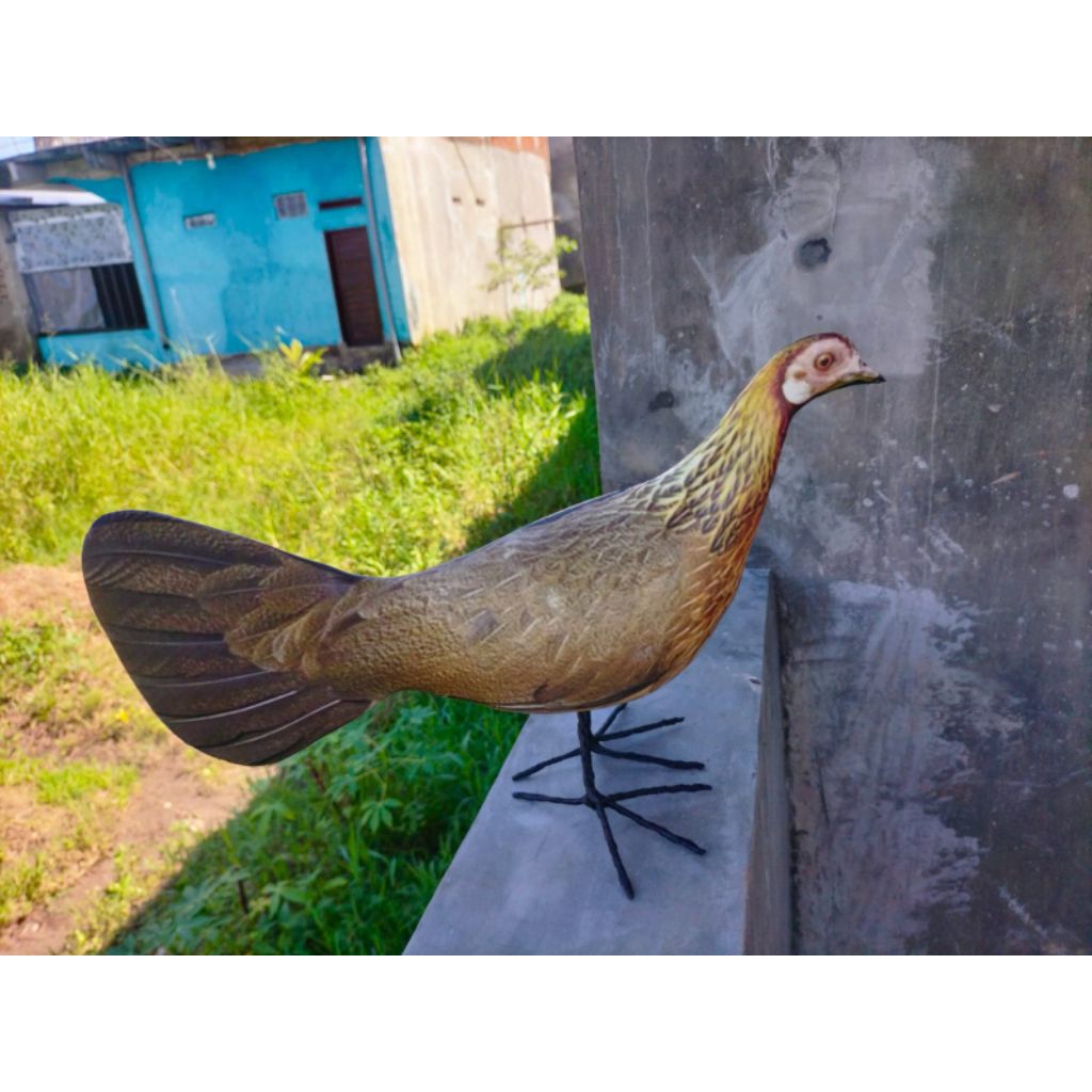 PATUNG JONTROT AYAM HUTAN BETINA - JONTROT AYAM HUTAN BETINA MIRIP ASLI