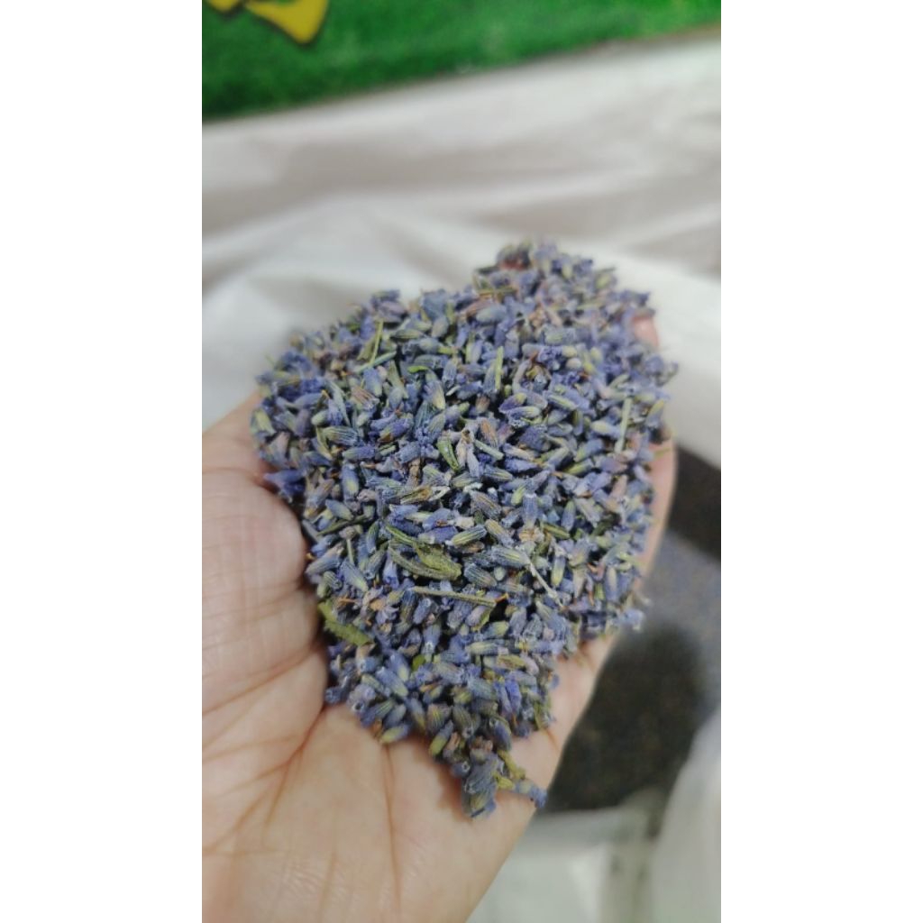 

10 G 50 GR 100 GRAM 薰衣草 XUN YI CAO TEH BUNGA LAVENDER FLOWER TEA