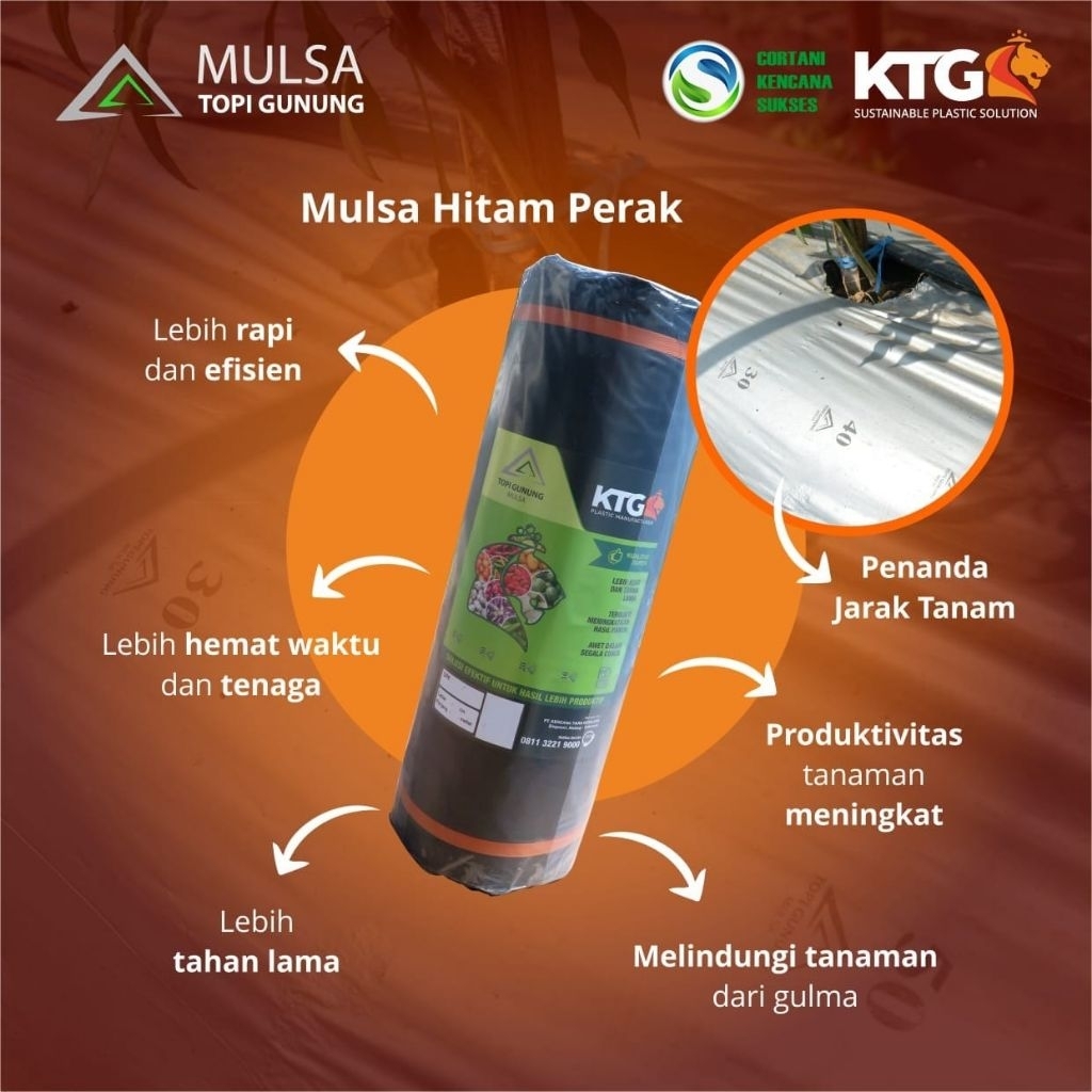Plastik Mulsa Topi Gunung KTG Label Hijau