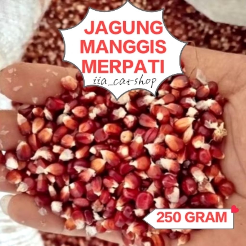 Jagung Manggis Jagung Ungu 250 Gram Pakan Merpati Dara Ayam