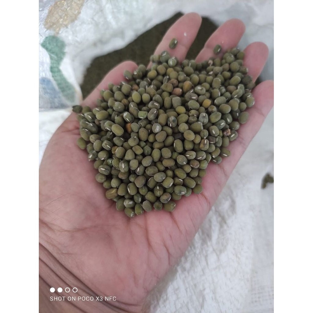 

Kacang hijau bubur kemasan 500 gr 1000 gr