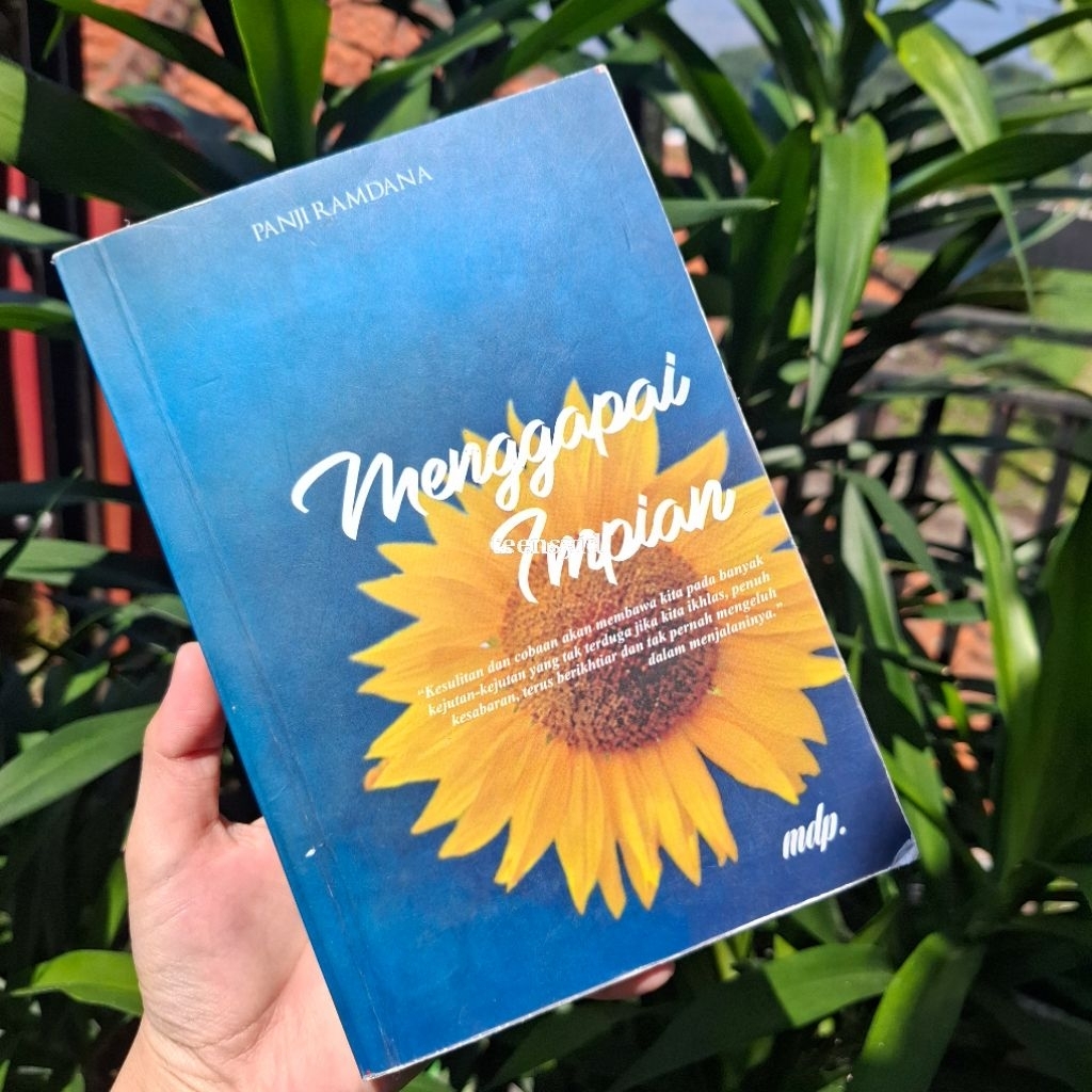 MENGGAPAI IMPIAN - PANJI RAMDANA (PRELOVED BOOK)