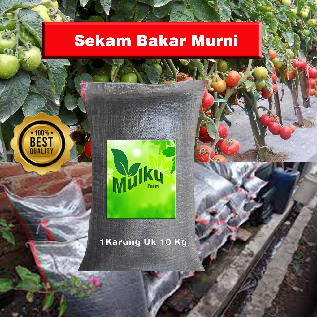 Sekam Bakar Murni 1 Karung Ukuran 10 Kg Media Tanam Sekam Bakar