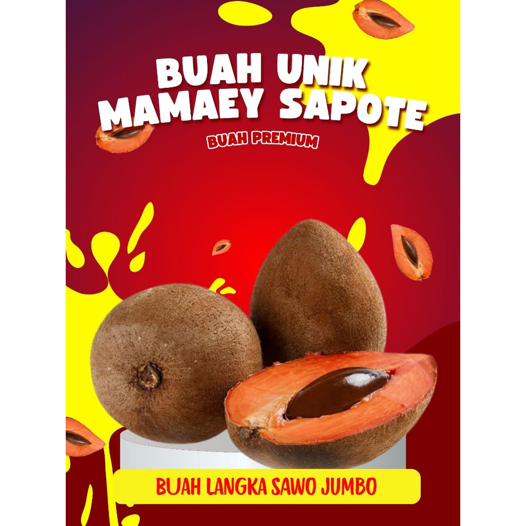 

BUAH UNIK !! Mamey Sapote Origin, Mamey Sapote Paling Enak