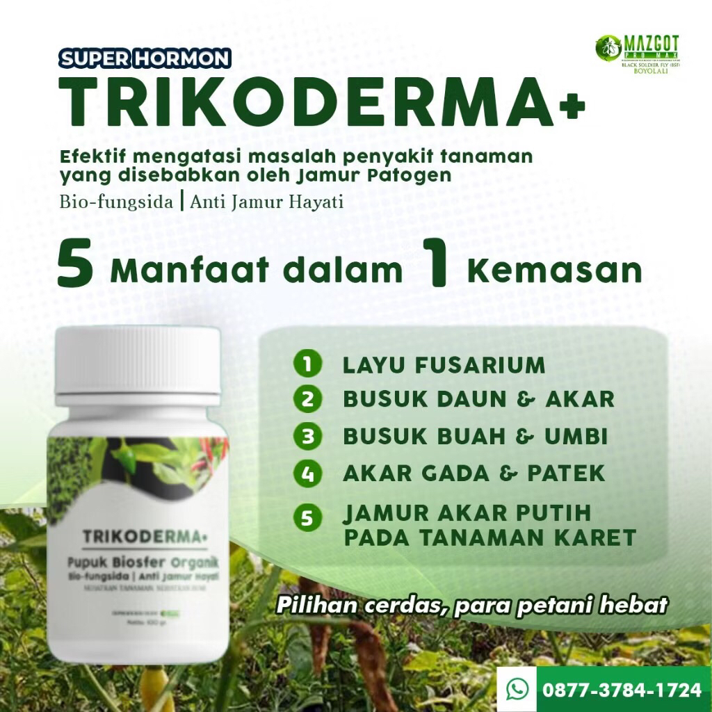 TRIKODERMA+ pupuk cabai keriting