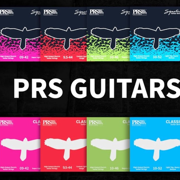 KODE W34N Senar Gitar Elektrik PRS Original USA
