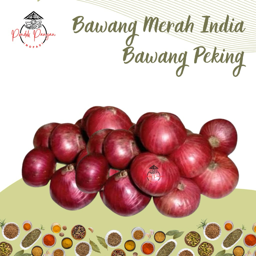 

Bawang Merah India | Bawang Peking