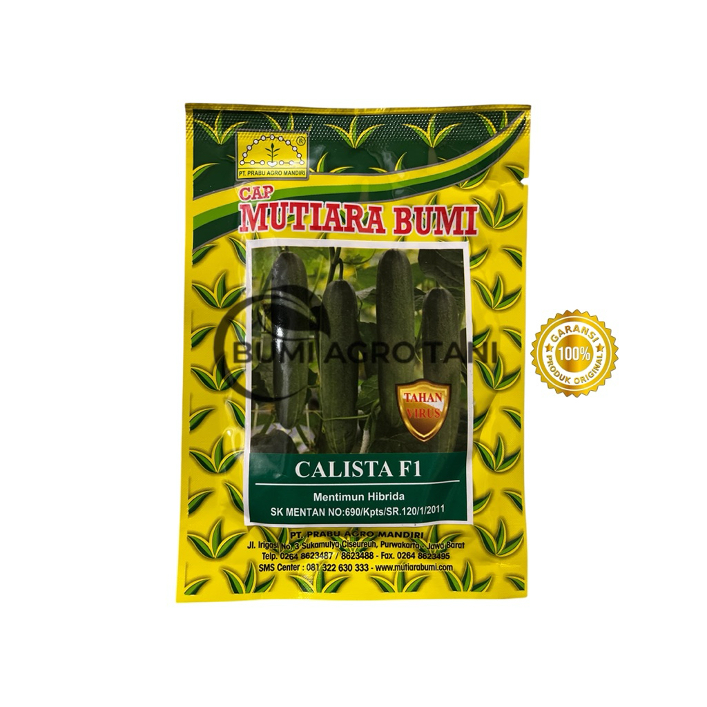 Benih Mentimun Timun Calista F1  Buah Hijau Tua Isi 25 Gram - Cap Mutiara Bumi
