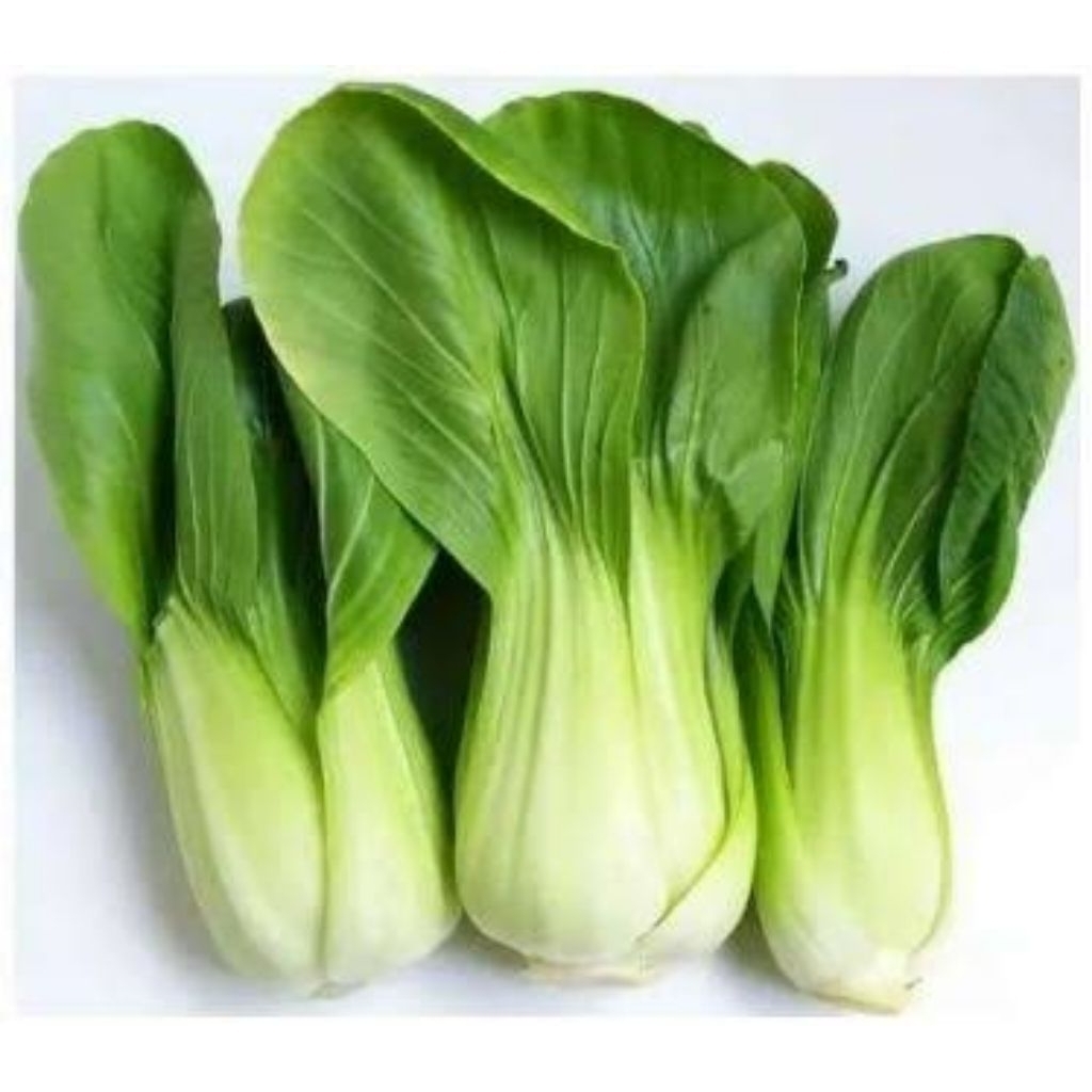 

sayur pakcoy pakcoi petsai 100 gram 250 gram 500 gram 1 kg fresh termurah