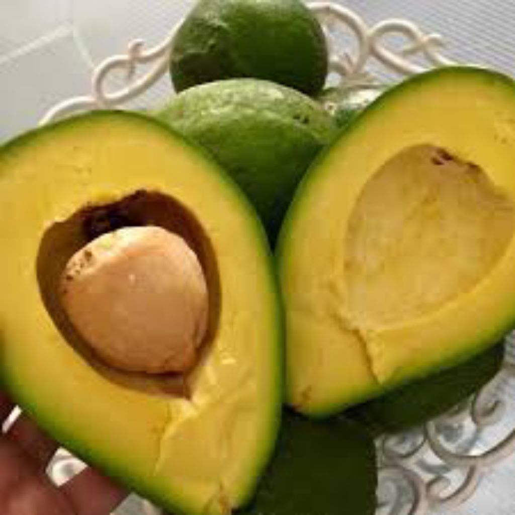 

TERMURAH..!!!! ALPUKAT MENTEGA SUPER PRENIUM / 1 KG !!!! BERGARANSI