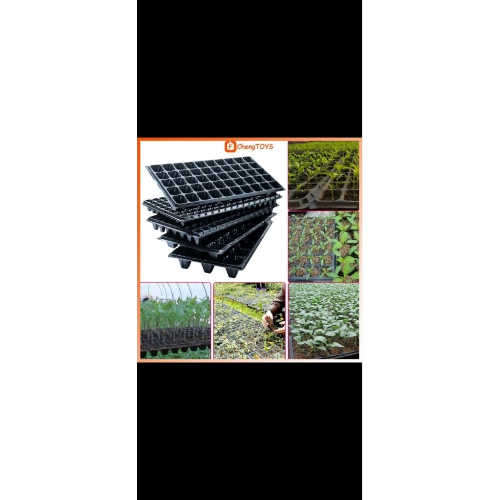 media semai bibit cabe dan sayuran