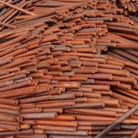 

handam / pakis / resam/ pena kaligrafi 21 cm