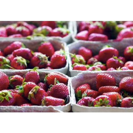 

Strawberry Segar Medan Daily Market