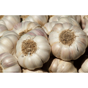 

Bawang Putih Segar Medan Daily Market