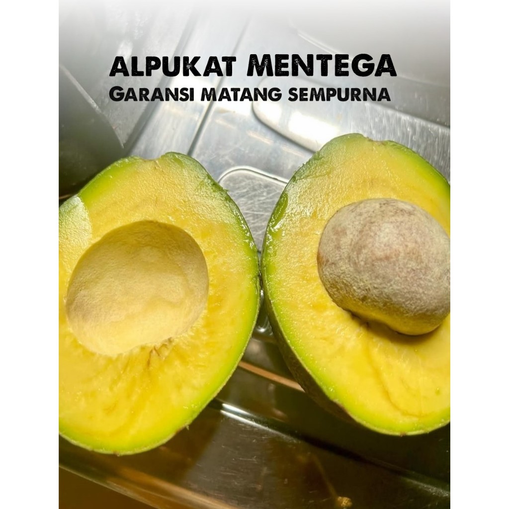 

Alpukat Mentega Unggulan Super Jumbo 1kg isi 2 - 3 buah