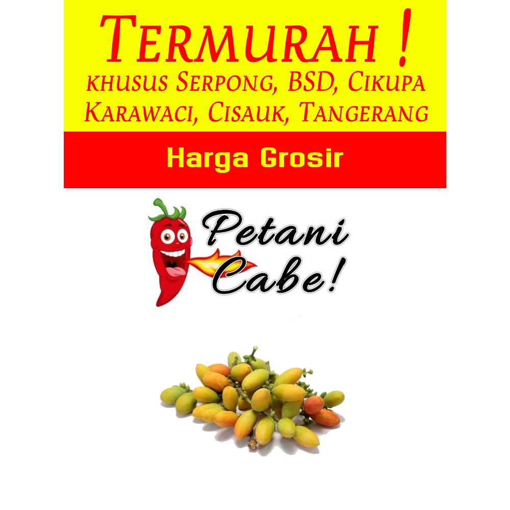 

Buah Melinjo 1 kg Harga Grosir (Petani Cabe Serpong)