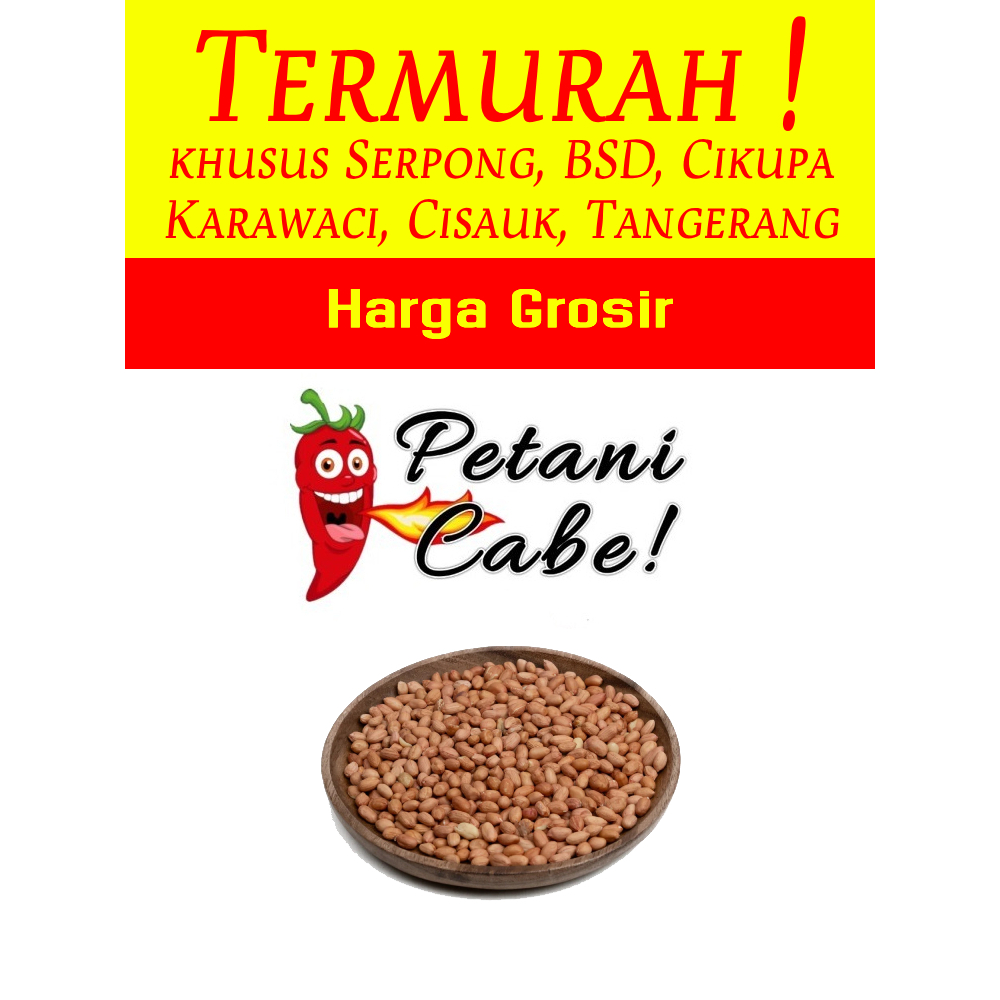 

Kacang Tanah 1 kg Harga Grosir (Petani Cabe Serpong)