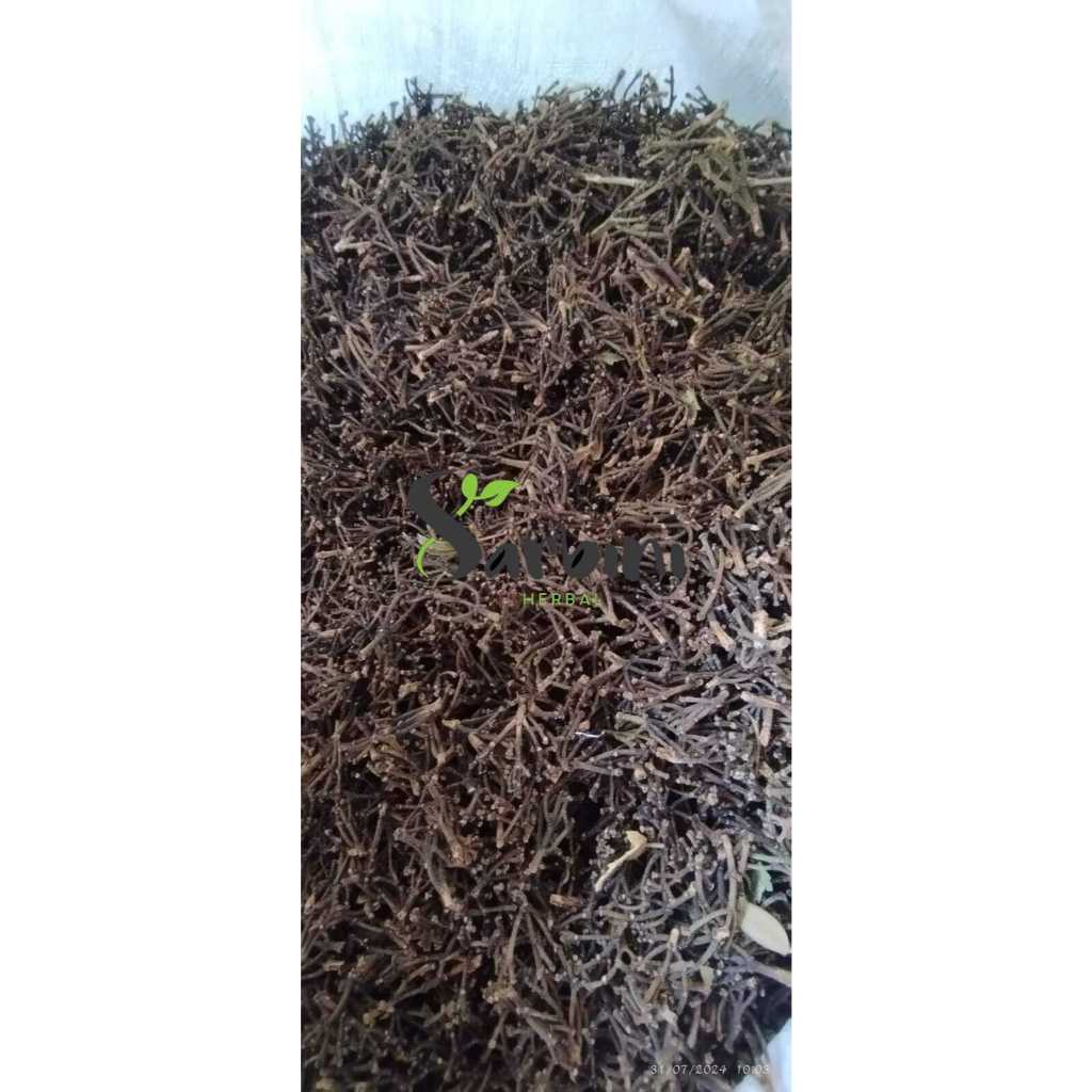 

Gagang Cengkeh Kering / Kering Gagang Cengkeh / 500 gram / 1000 gram / Simplisia Kering Gagang Cengkeh / Gagang Cengkeh Garansi Terjamin 100% Asli Murni / Bahan Gagang Cengkeh Kering / Bahan Gagang Cengkeh Premium / Bahan Gagang Cengkeh Kering Murni