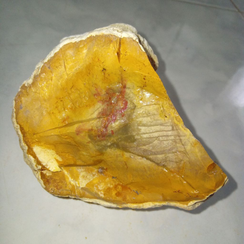 Original Batu Akik Sisik Ikan Arwana Langka dan Unik