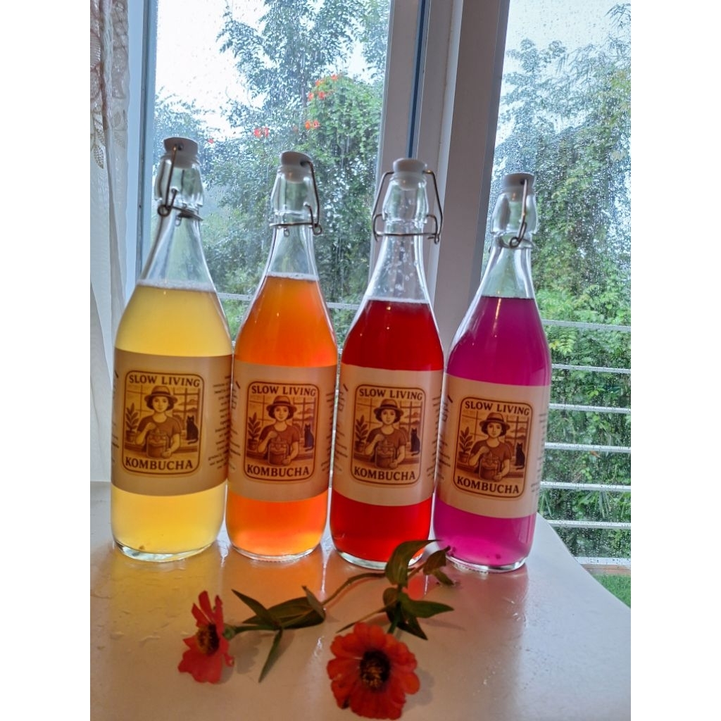 

Kombucha Strong atau Starter
