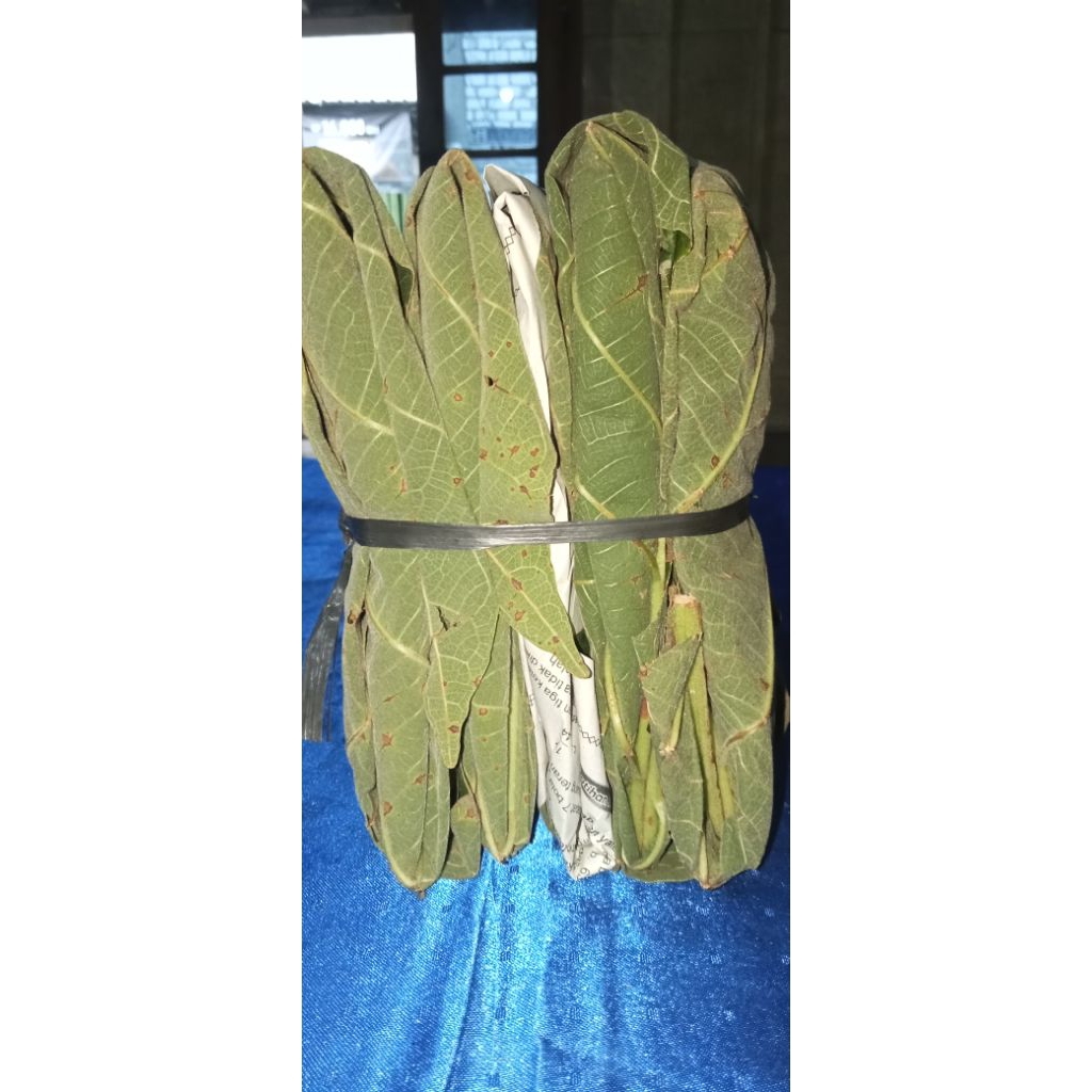 

TEMPE DAUN JATI KHAS REMBANG, SATU IKAT ISI 10