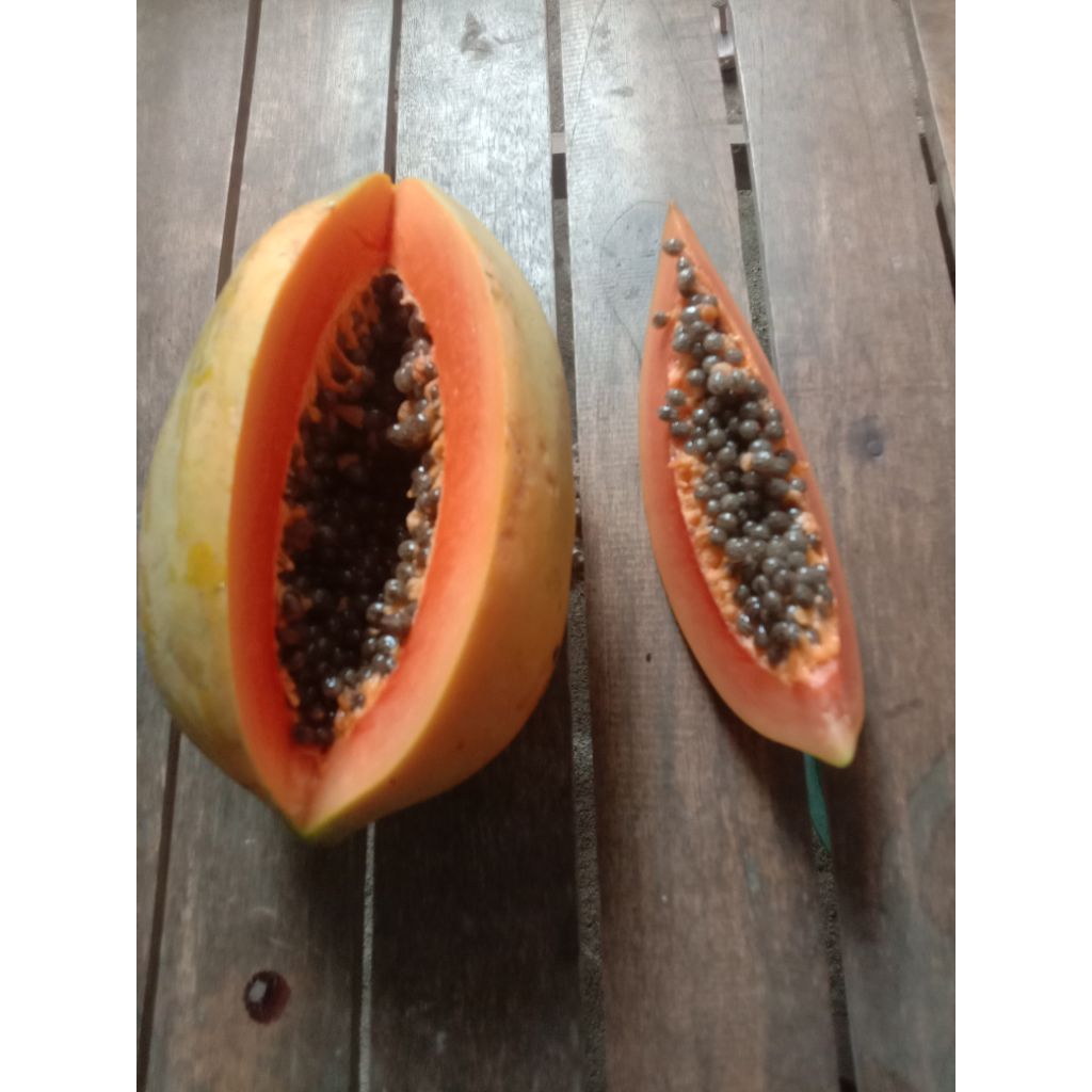 

buah pepaya lokal hibrida 1 buah