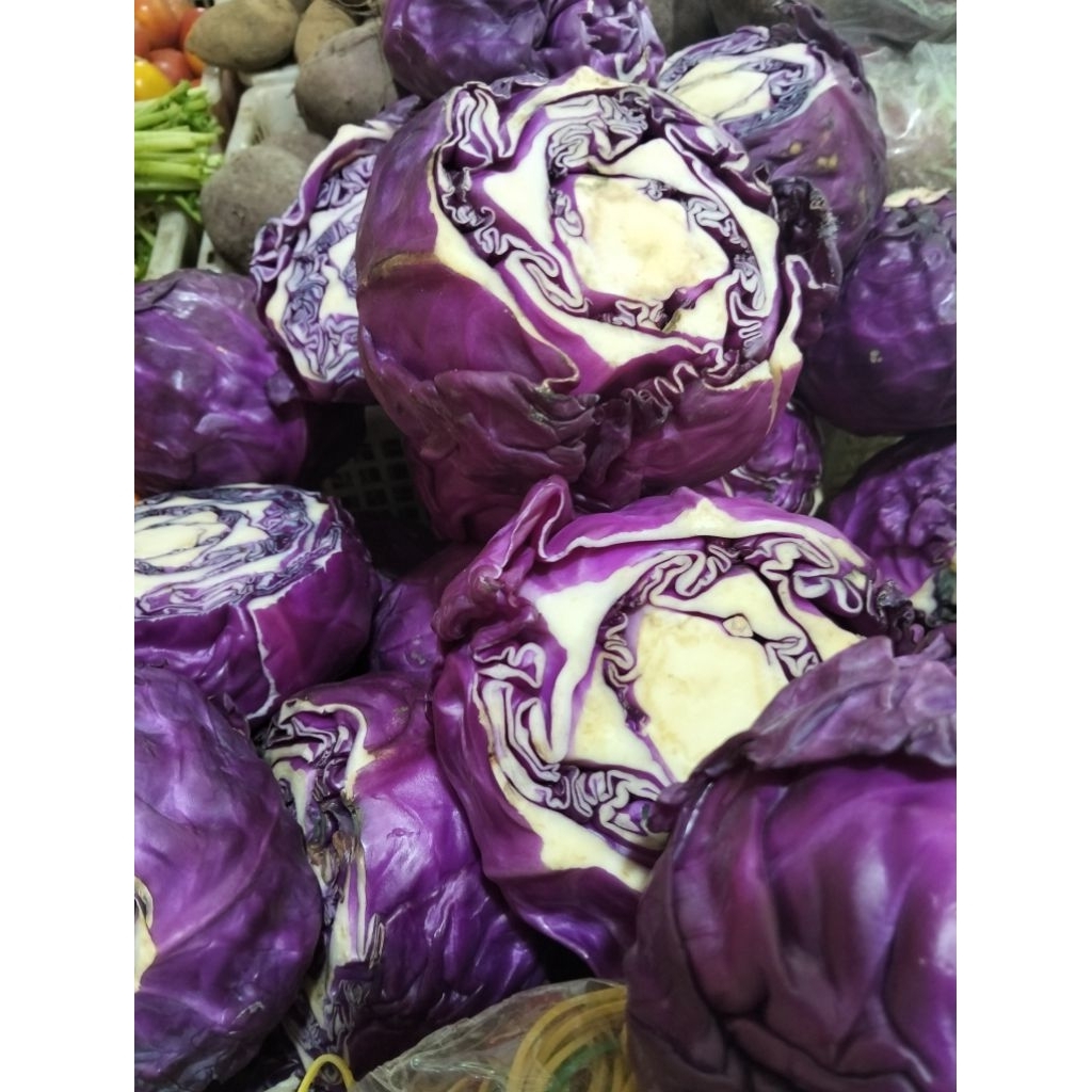 

Kol ungu Rp 40000