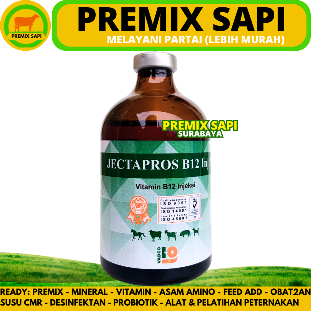 JECTAPROS B12 100ML VADCO - Vitamin B12 Hewan Anti Anemia & Menambah Nafsu Makan - Like Jectavit b12