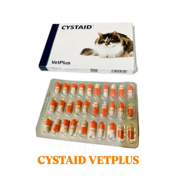 Cystaid Vetplus Obat Saluran Kemih Kucing