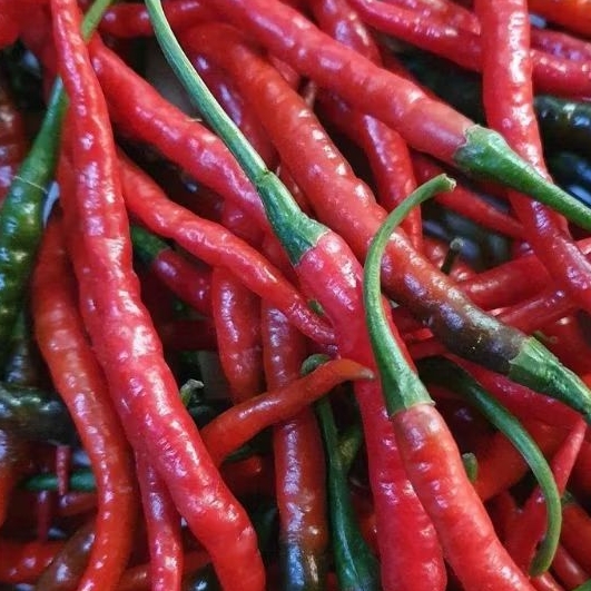 

Cabai Merah Kriting 250 Gram