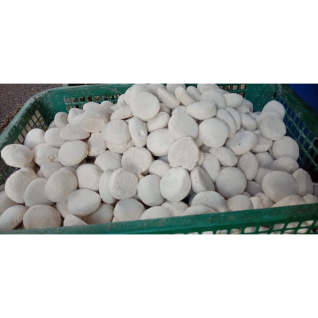 

Ragi tape kualitas terbaik 10 pcs