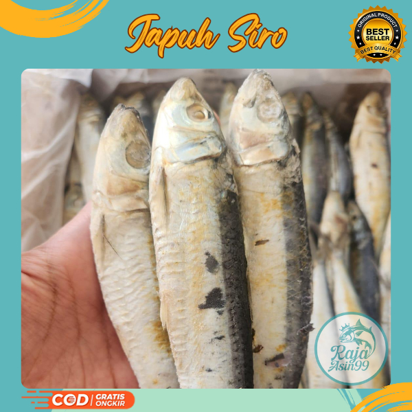 

IKAN ASIN JAPU SIRO SUPER BISA COD
