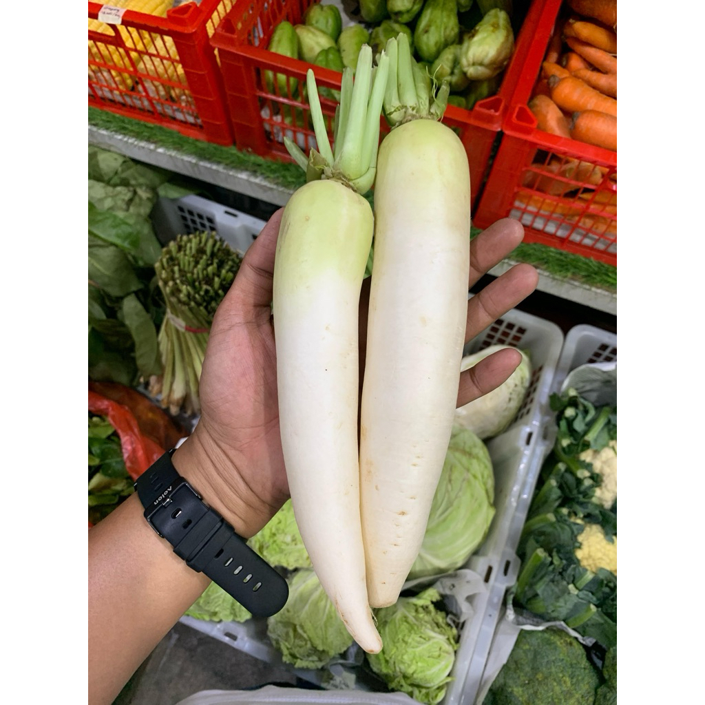 

Lobak Putih Segar 1 kg | Promo Sayuran | Fresh Buah Amanah