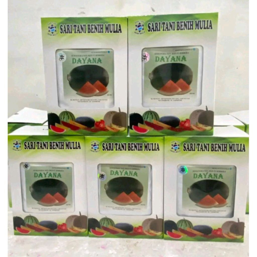 Benih Super Bangkok Jumbo Dayana F1 Tipe Lonjong /Oval Benih Sari tani (Perawatan Mudah Tahan Virus)