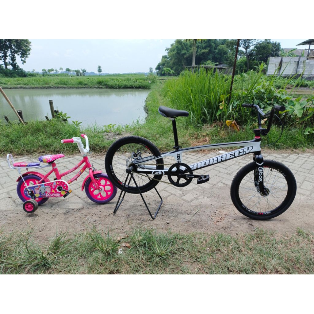 fullbike bmx custom steel