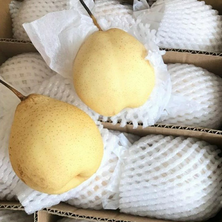 

PIR MADU / PEAR MADU FRESH