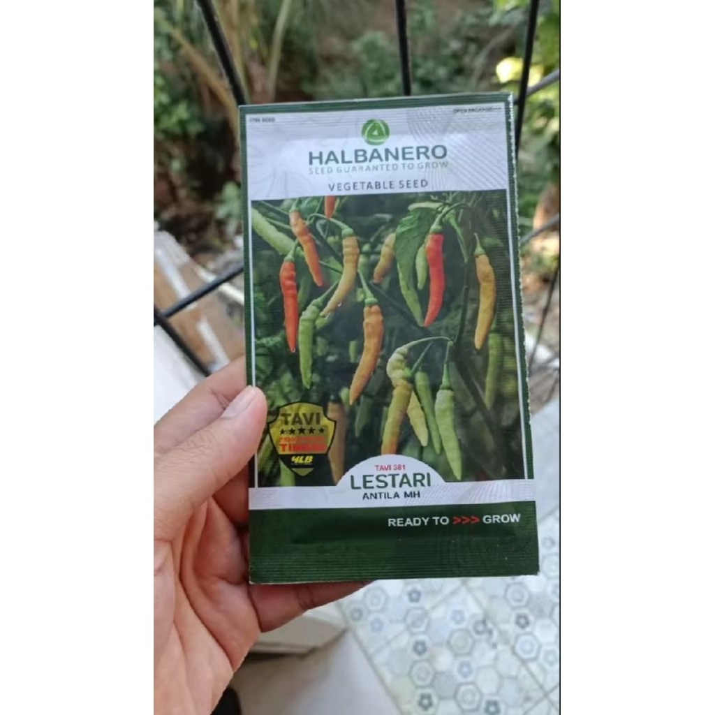benih Cabai Rawit LESTARI 10gr tahanvirus dari HALBANERO