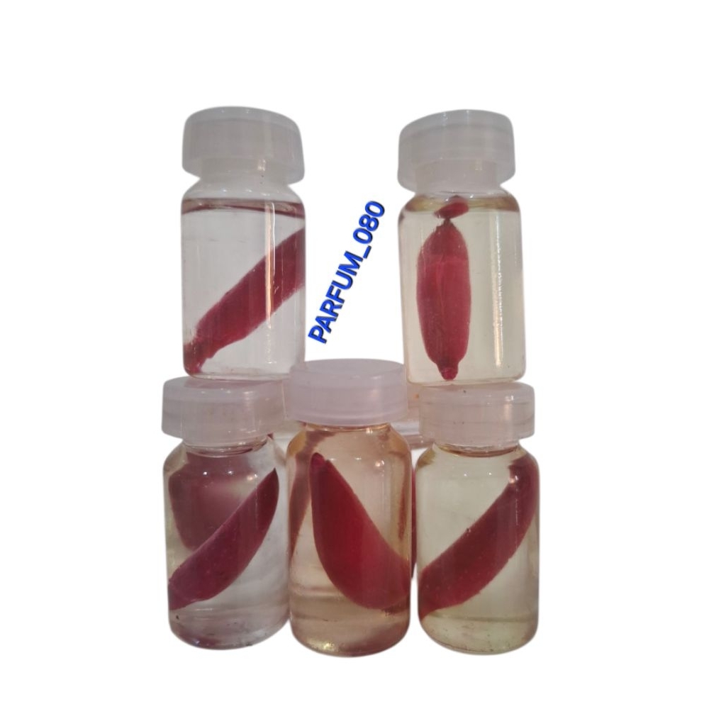 bunga kembang cepaka/kantil merah