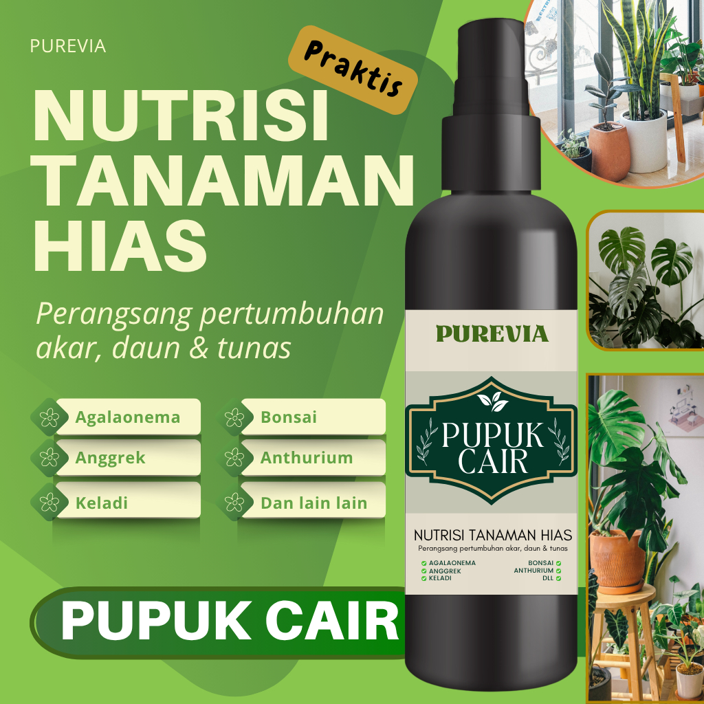 PUREVIA PUPUK CAIR TANAMAN HIAS | PUPUK SIAP PAKAI AGLONEMA ANGGREK BONSAI KELADI