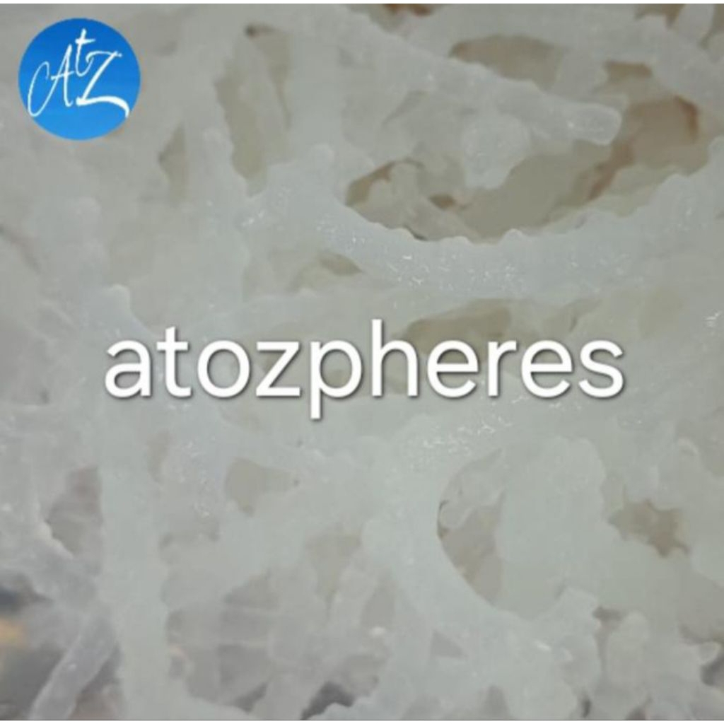 

Rumput laut basah SIAP SANTAP READY TO EAT Gracliaria premium dessert 100g