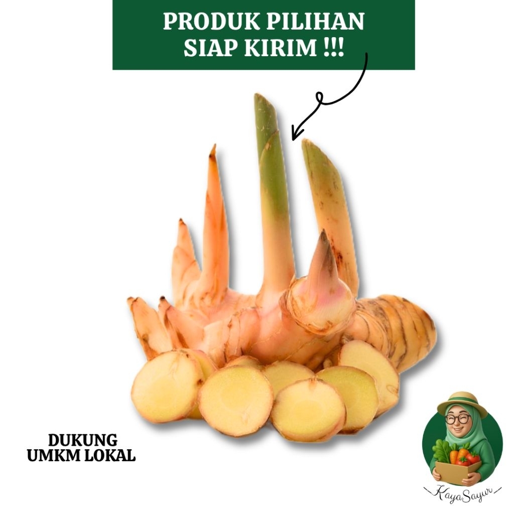 

Lengkuas Laos Fresh