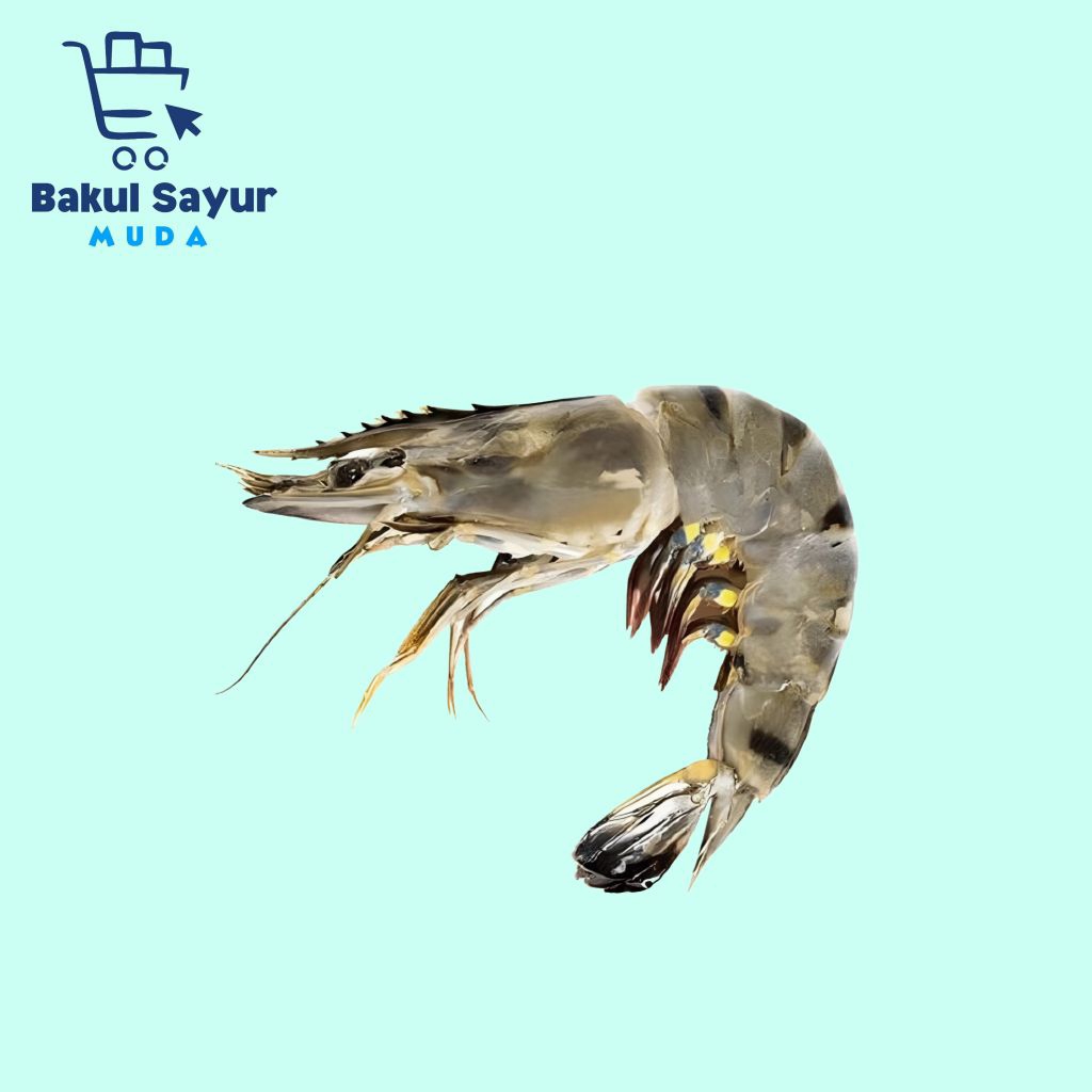 

Udang Segar Ukuran Besar Sedang Kecil 250 Gram