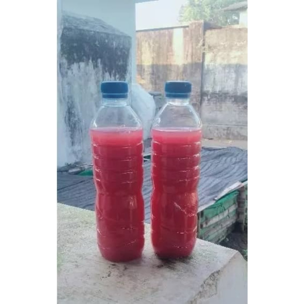 photosintesis bakteri PSB 450ml
