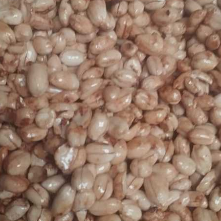 

KACANG TOJIN AMAK SPECIAL 500 gram