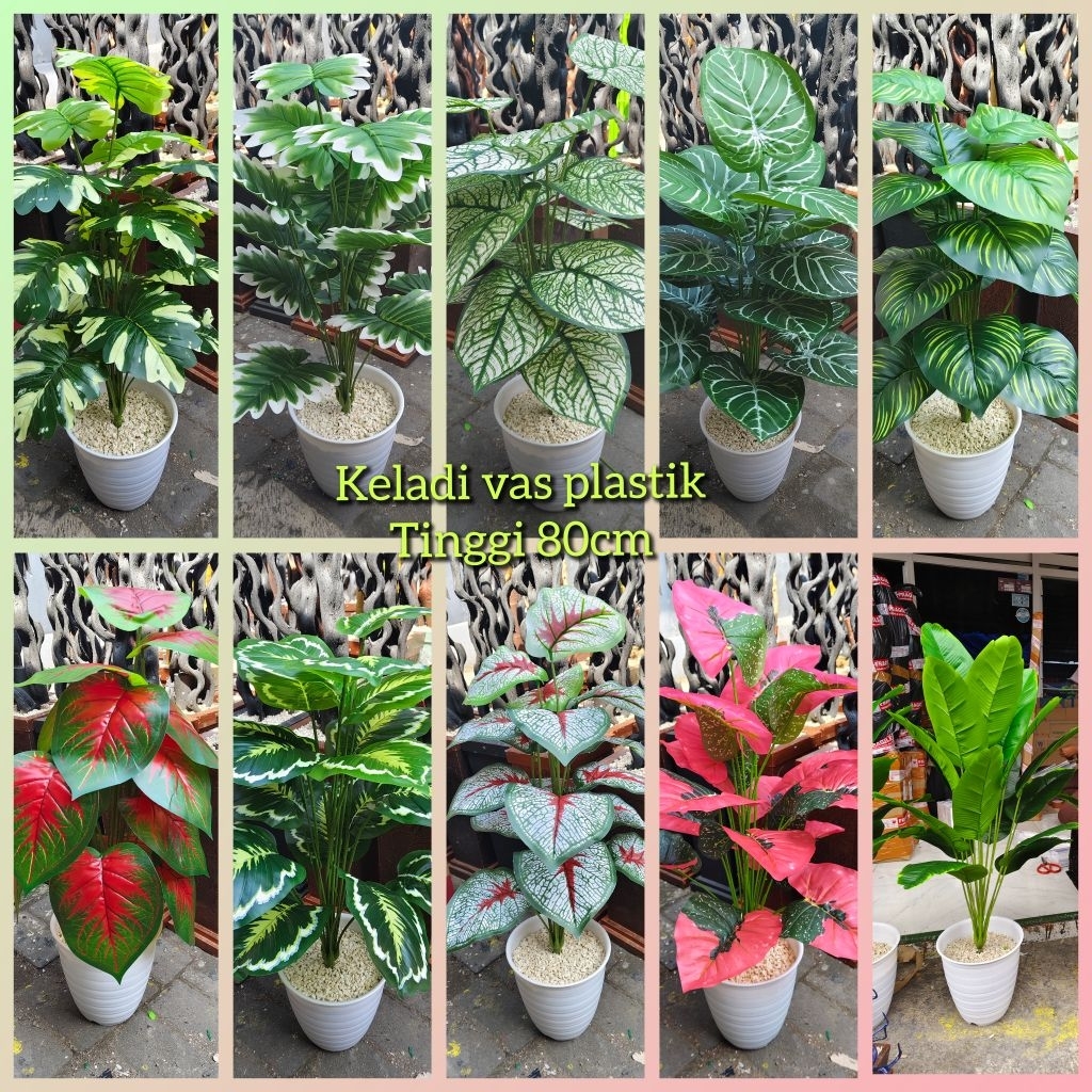 MONSTERA VAS TAWON JUMBO# KELADI ARTIFIAL POT PLASTIK TINGGI 80CM LENGKAP POT TAWON JUMBO+BATU