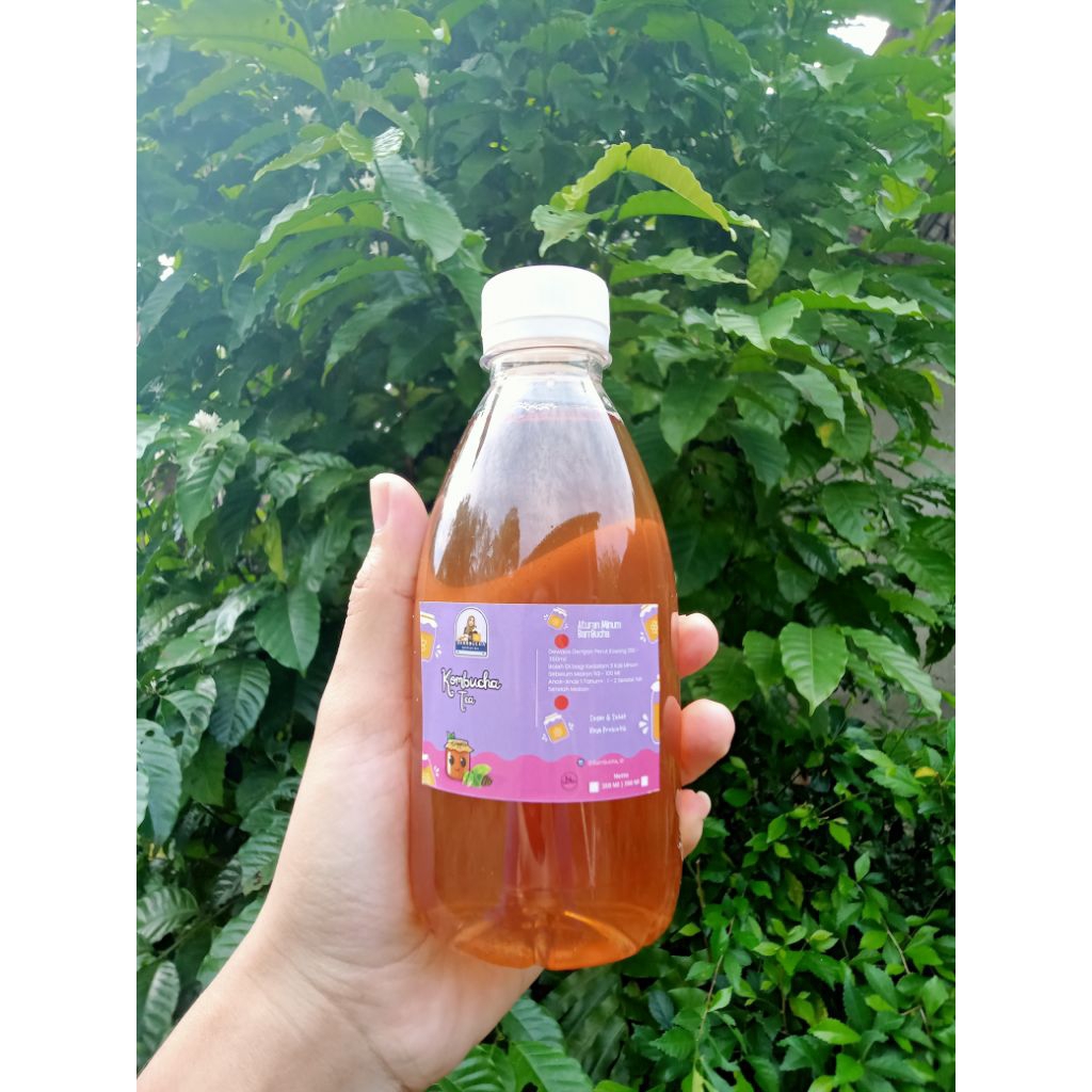 

Kombucha Original Green Tea 350ml by BARRBUCHA