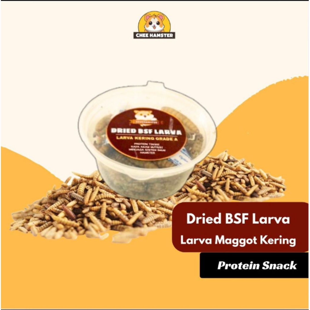 BSF Larva Maggot Cup | Kering Dried - Protein Hamster | Makanan Hamster
