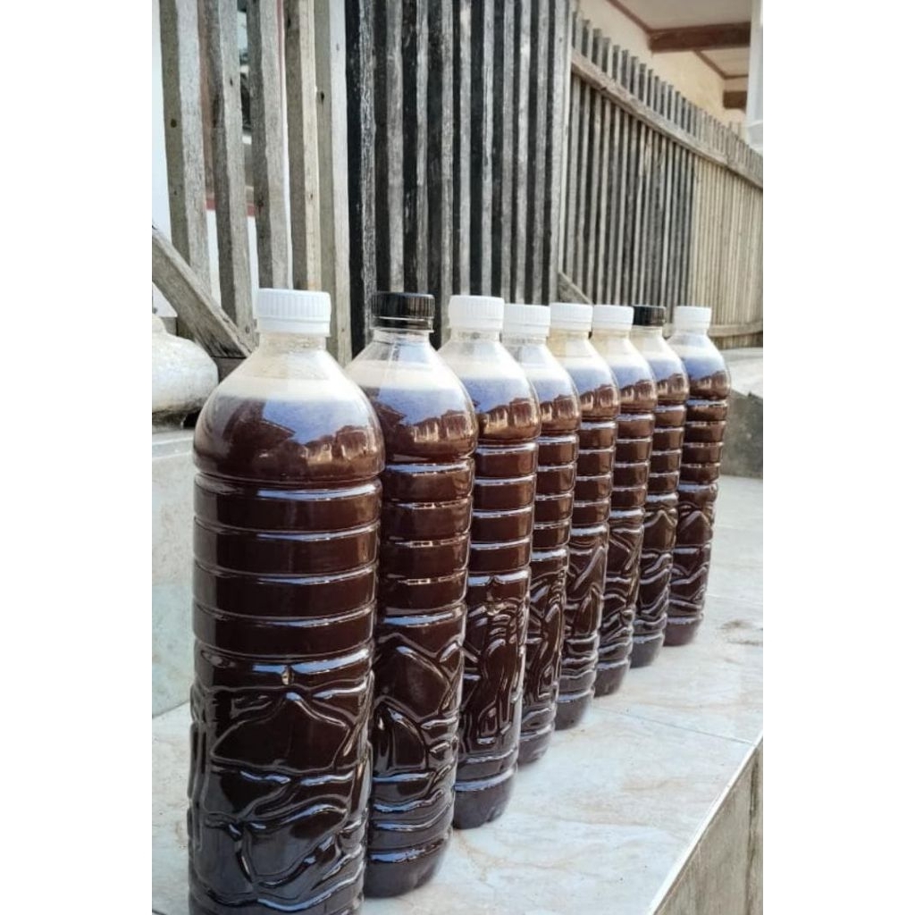 

madu asli original