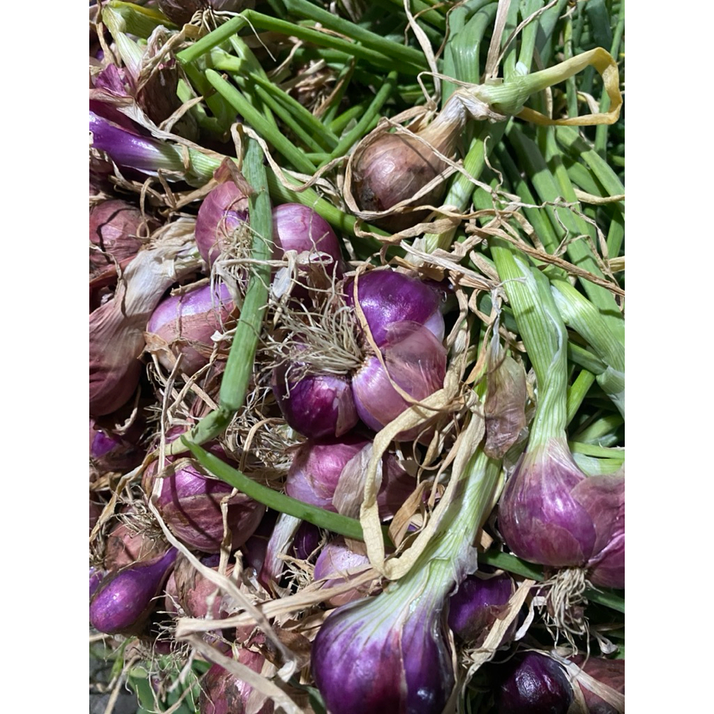 

Bawang Merah Segar Petani Asli — Harum, Tahan Lama, Cocok untuk Masakan Harian (1 Kg)
